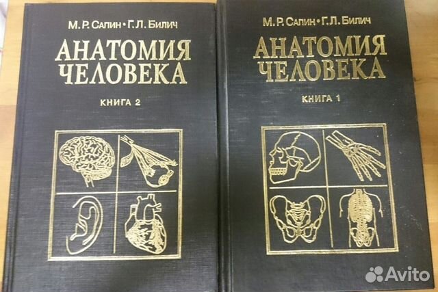 Учебник По Анатомии Сапина