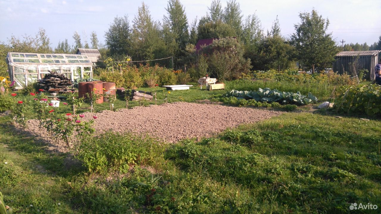 Купить Дачу Снт В Ивановском Районе