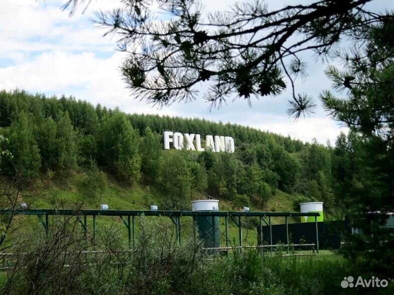 Foxland