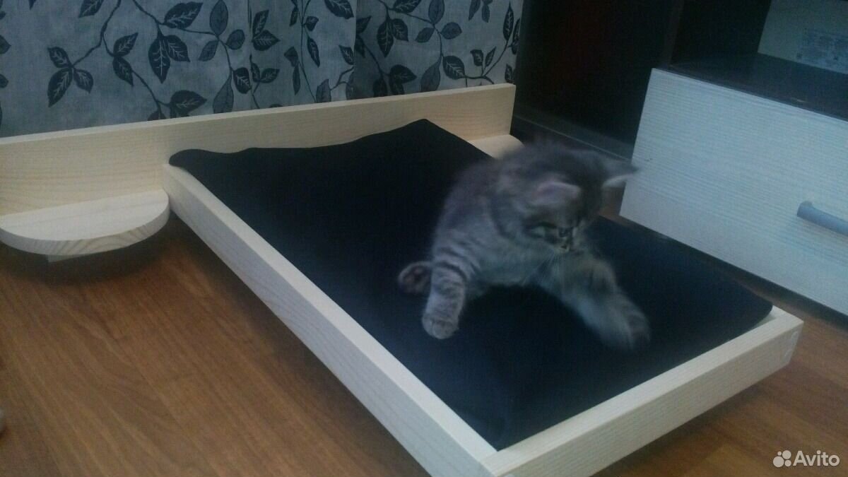 Парящая кровать для кошек и собак купить на Зозу.ру - фотография № 2