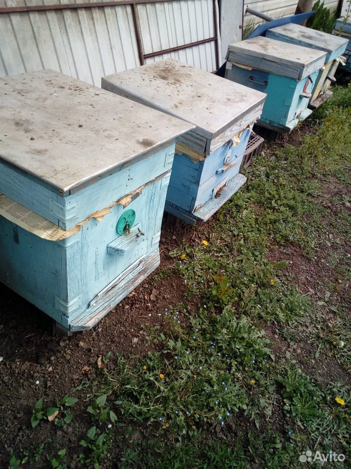 Прицеп для пасеки и пчёлы на высадку купить на Зозу.ру - фотография № 2
