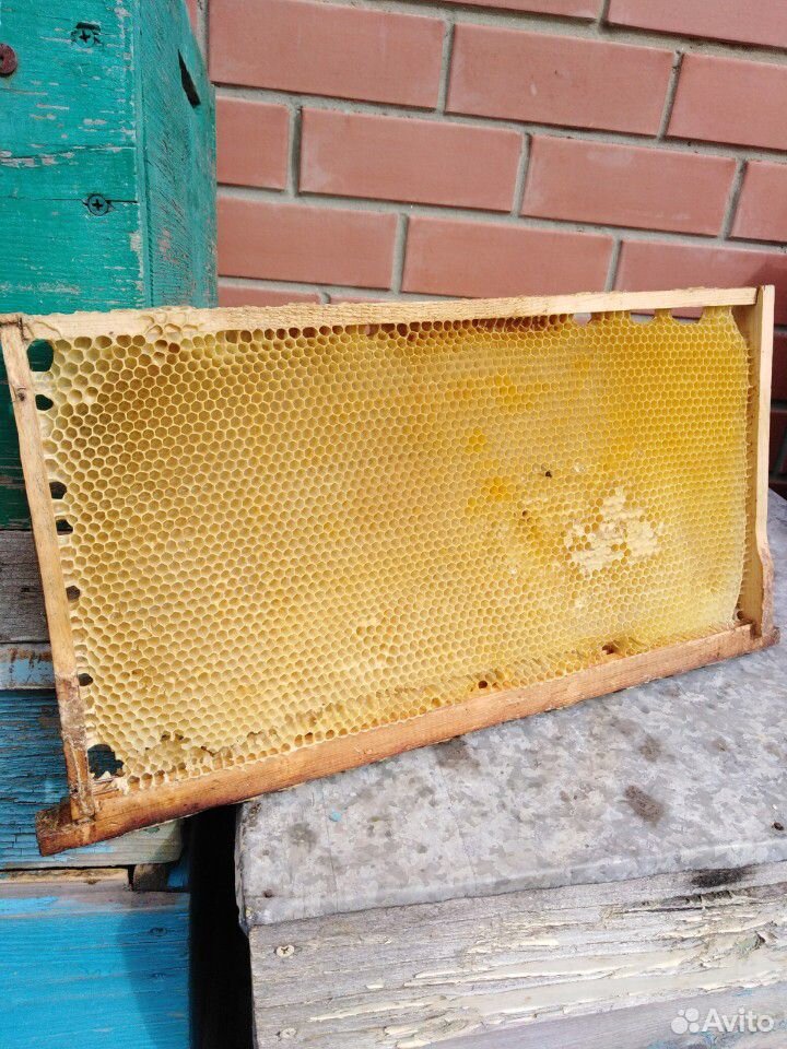 Товары для пчеловодов купить на Зозу.ру - фотография № 3