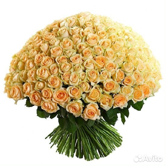 Букет из 101 розы Пич Аваланш, длина 50см купить на Зозу.ру - фотография № 1
