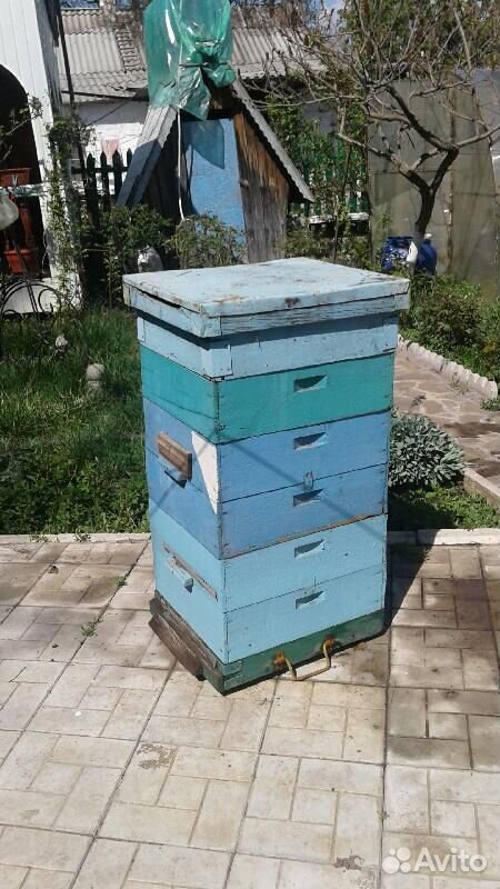 Улики для пчёл (Доданы) купить на Зозу.ру - фотография № 2