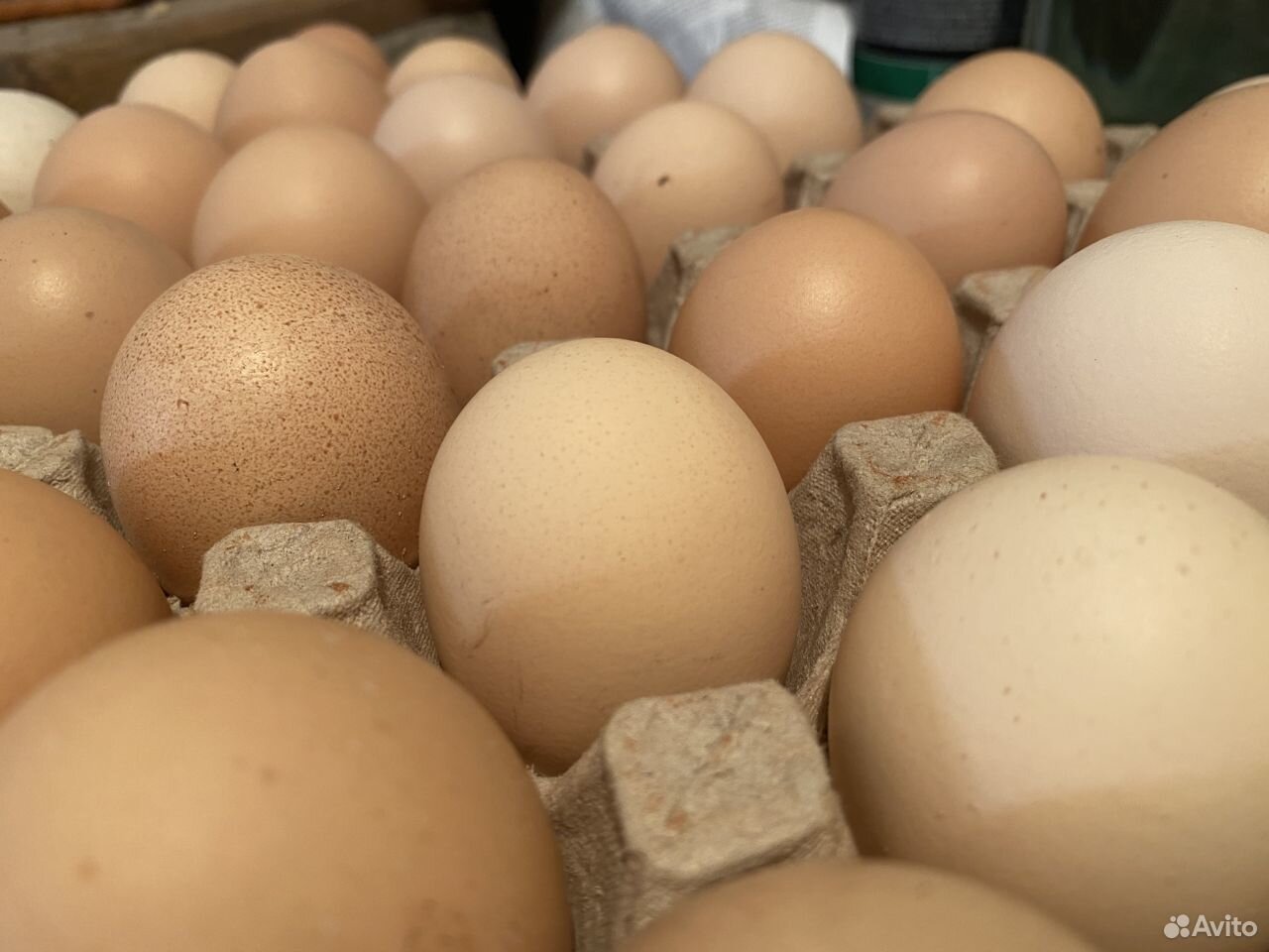 Яйцо деревенских кур купить на Зозу.ру - фотография № 2