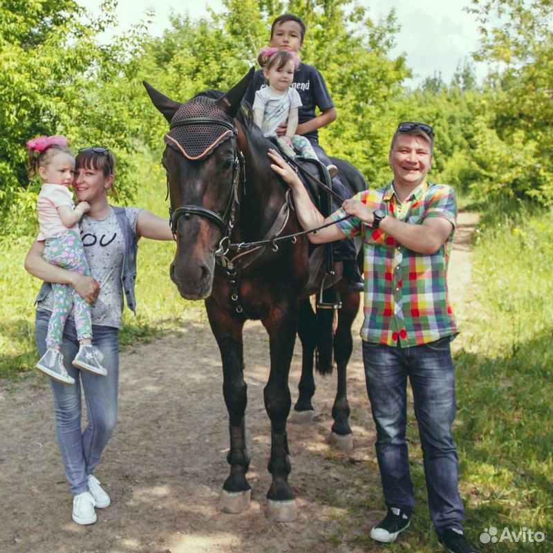 Племенная лошадь купить на Зозу.ру - фотография № 5