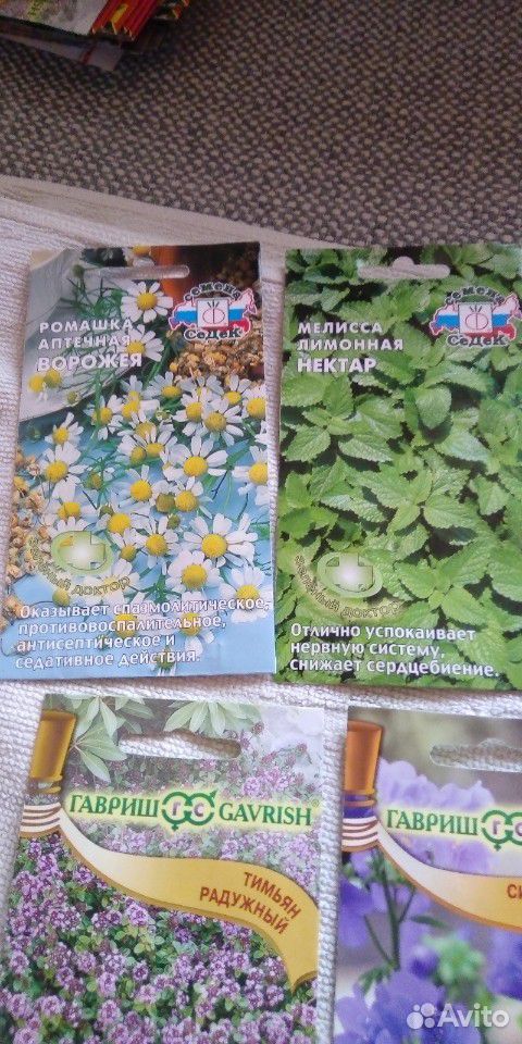Семена лечебных трав купить на Зозу.ру - фотография № 5