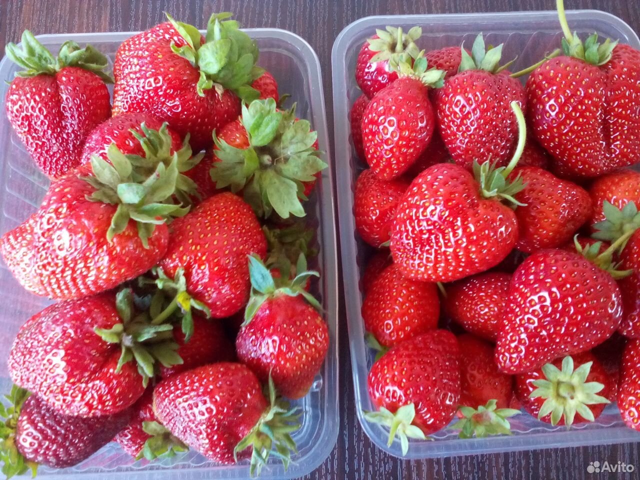 Продам ягоду малины,саженцы клубники купить на Зозу.ру - фотография № 3