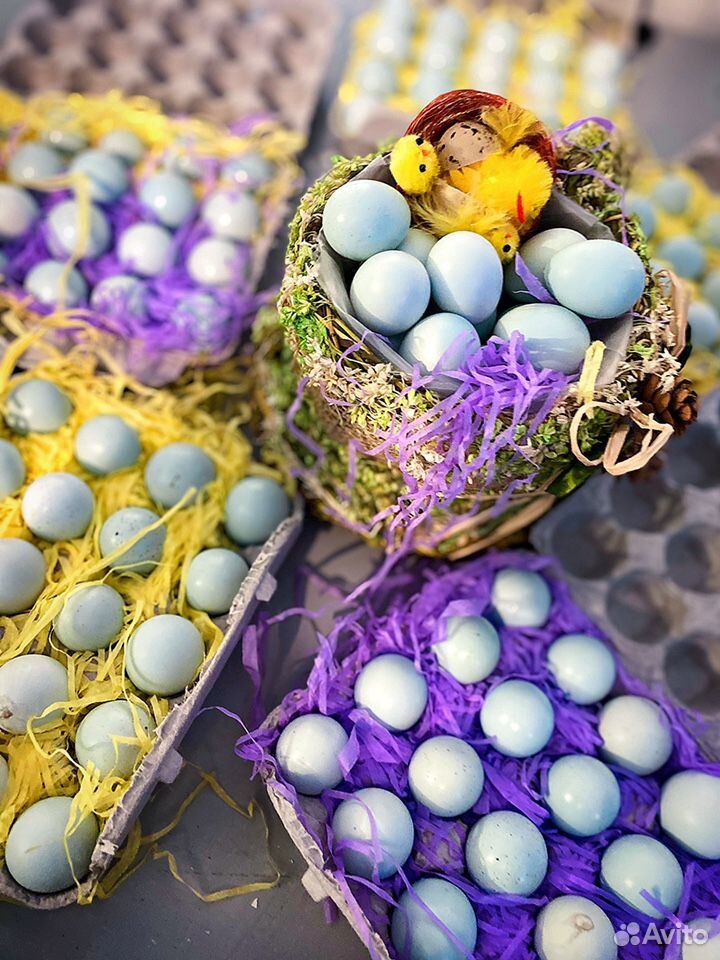 Инкубационное яйцо Перепела Целадон купить на Зозу.ру - фотография № 1