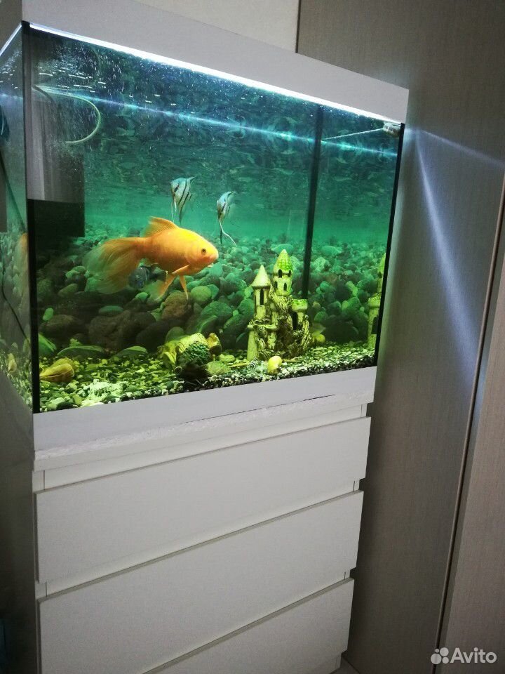 Красивый Аквариум с рыбками 170 литров купить на Зозу.ру - фотография № 1