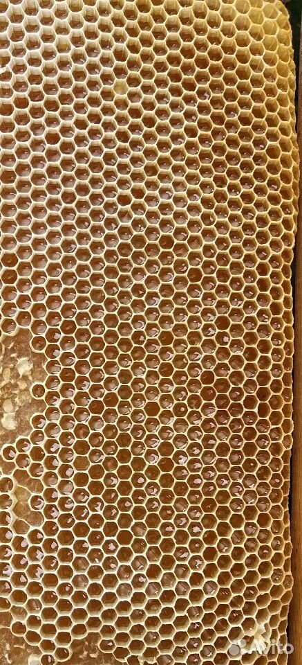 Мёд натуральный с личной пасеки, акация купить на Зозу.ру - фотография № 1
