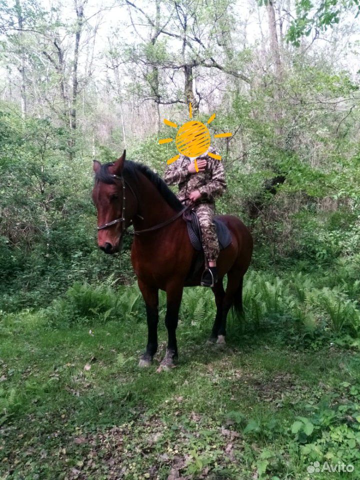 Богатырский конь купить на Зозу.ру - фотография № 2