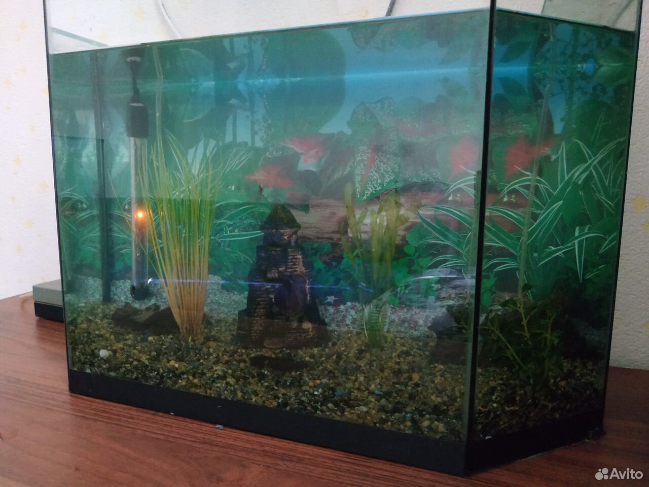 Продам аквариум со всеми принадлежностями купить на Зозу.ру - фотография № 3