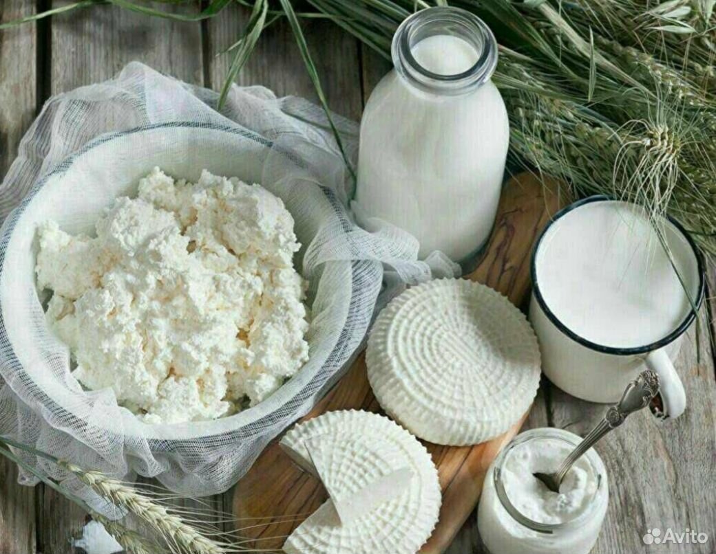 Молоко сыр творог купить на Зозу.ру - фотография № 1