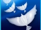 Свадебные голуби воздушные, Биоголуби объявление продам