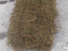 Луговое сено в брикетах