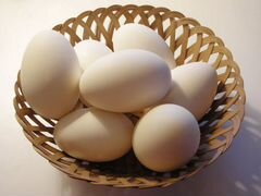 Инкубационное Гусиное яйцо.Порода Линда, в наличии