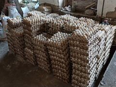 Яйцо утиное кормовое от 1000шт