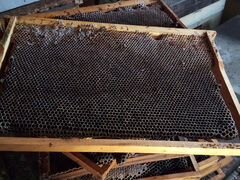 Продаю пчеловодную сушь