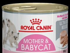Паштет для котят royal canin