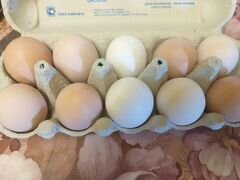 Продам Яйцо от домашних кур
