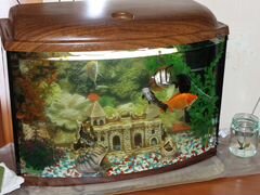 Новый аквариум с рыбками 70 литров