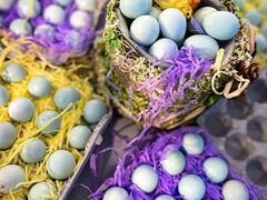 Инкубационное яйцо Перепела Целадон