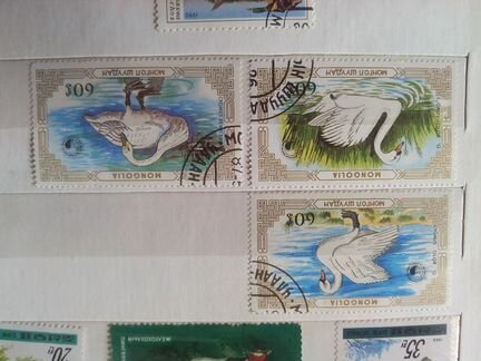 Монгол шуудан лебеди