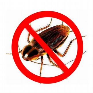 Уничтожение насекомых (клопов,тараканов,блох и т.д