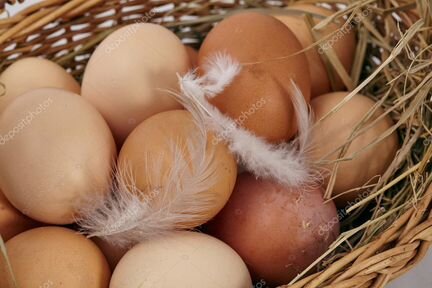 Яйца куриные свежие