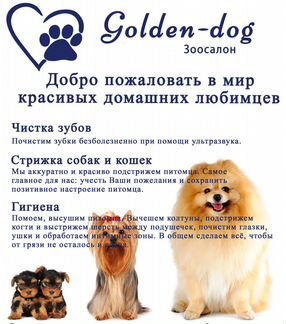 Золотой Пёс (Парикмахерская для животных)