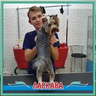 Стрижка Собак и кошек в груминг-салоне Ласкава