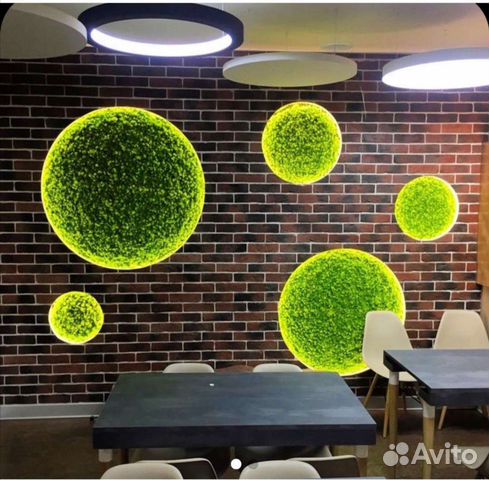 Круги из мха мох стабилизированный