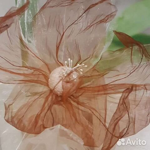 Ростовые цветы