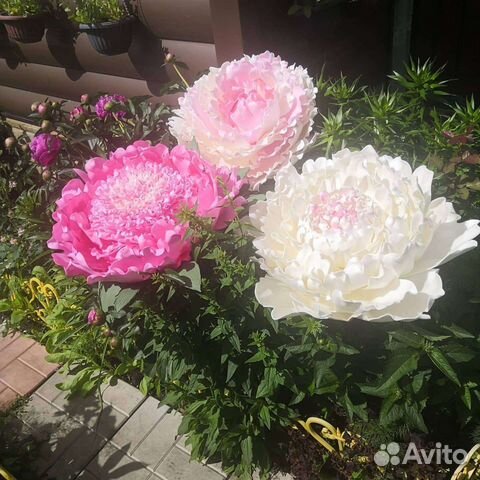 Торшеры ростовые цветы светильники