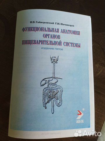 Анатомия органов пищеварительной системы