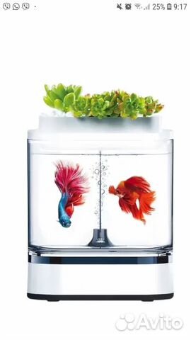 Xiaomi Geometry Mini Lazy Fish Tank Pro C300