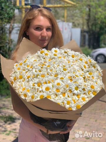 Цветы. Ромашка. Доставка цветов