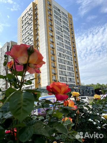 

1-к. квартира, 50 м², 2 кровати