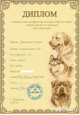 Собака для вязки купить на Зозу.ру - фотография № 4