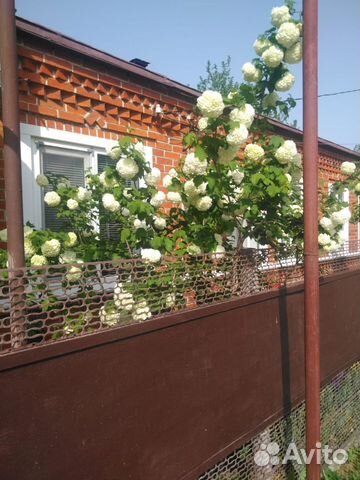 

2-к. дом, 80 м²