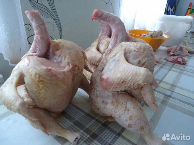 Продам мясо кур бройлера