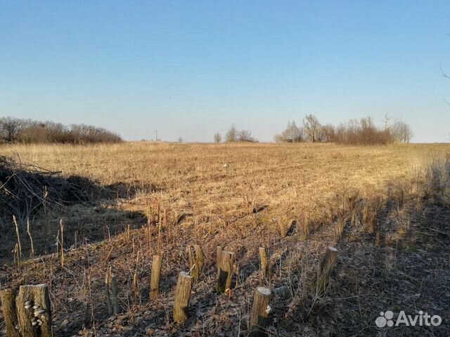 Участок 38 сот. (ИЖС) Участок 38 сот. (ИЖС)