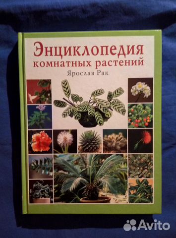 Цветы Комнатные Энциклопедия Фото