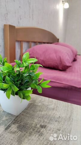 

1-к. квартира, 49,5 м², 2 кровати