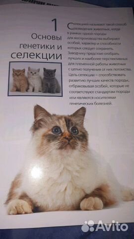 Книга по содержанию и разведению кошек royal canin