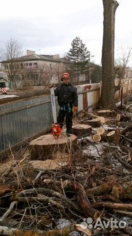 Спиливание (спил) и омоложение деревьев Спиливание (спил) и омоложение деревьев