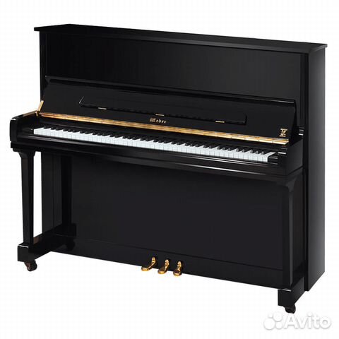 Weber Professional Studio W121 черное + ноутбук
