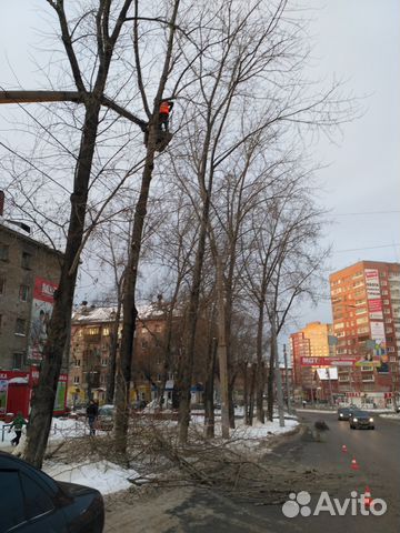 Спил, Кронирование, Дробление, Аренда дробилки