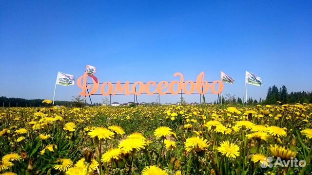 Участок 12 сот. (ИЖС) Участок 12 сот. (ИЖС)